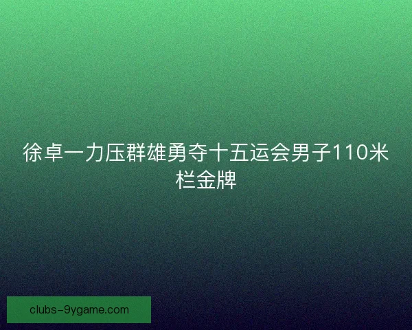 徐卓一力压群雄勇夺十五运会男子110米栏金牌
